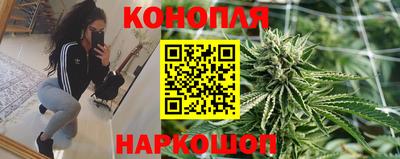 шишки Ставрополь