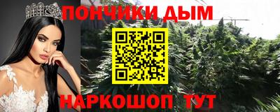 шишки Славгород