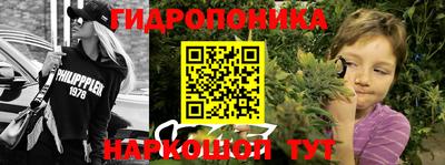 2c-b Сланцы