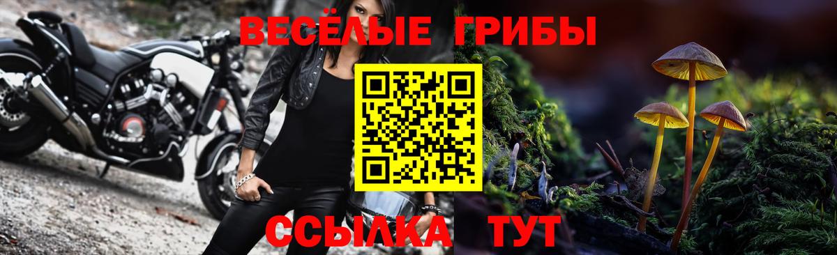 Галлюциногенные грибы GOLDEN TEACHER Подольск